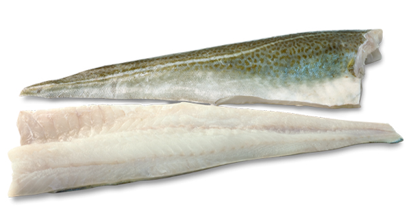 Bacalao Morro Ración Rafols 200/230gr 26u/c ±5,5kgs