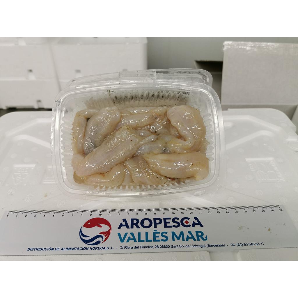 Espardeñas Costa