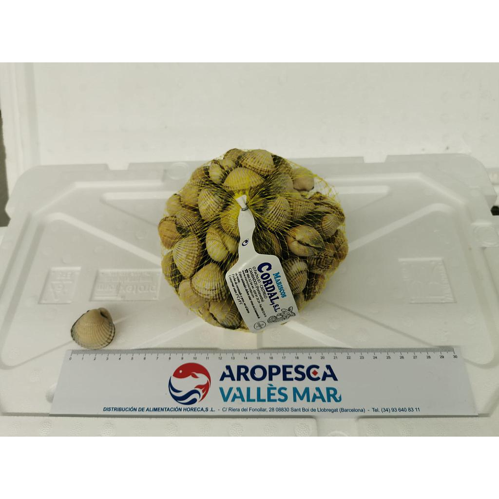 Berberecho gallego seleccion Gallego Origen 65 pz