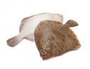 Rodaballo 1000-1500 g/pza Caja ±12kgs