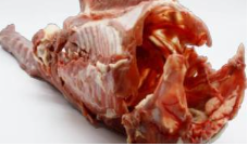 Pato Carcasas Congeladas