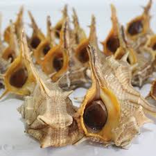 Cañailla Nacional Mediana