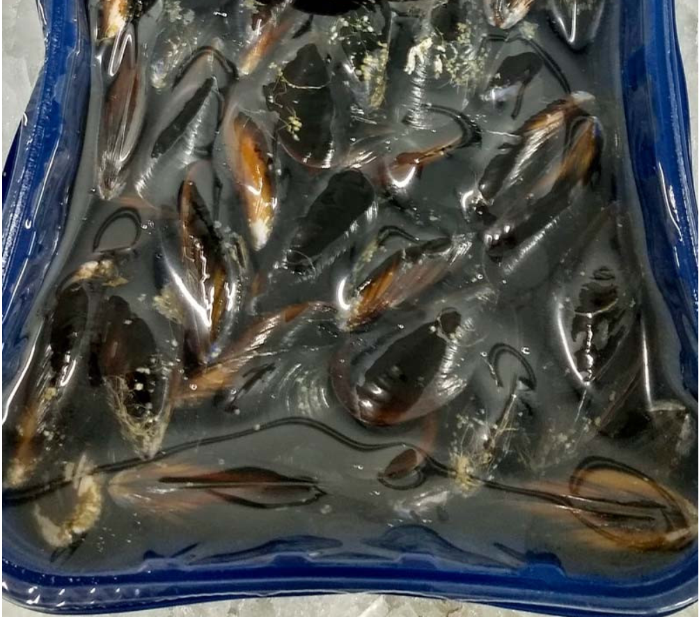 Mejillon Atmosfera Pequeño (Bandeja 5kg)