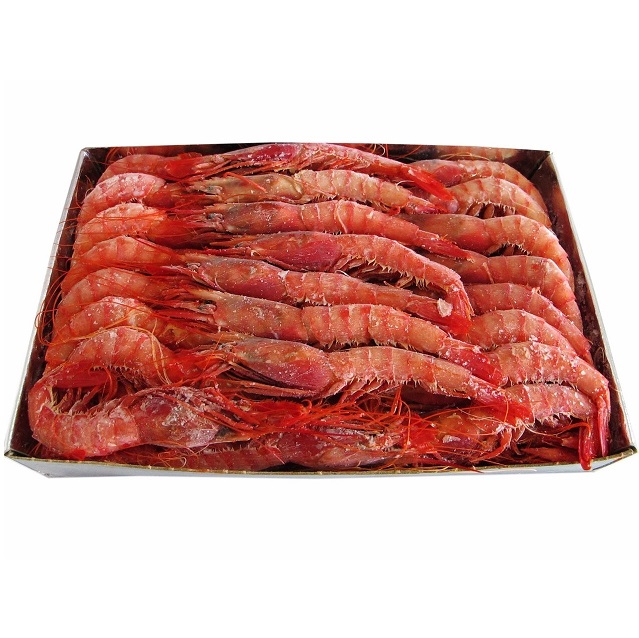 Gamba Alistada A1E  32/36 pz A.N