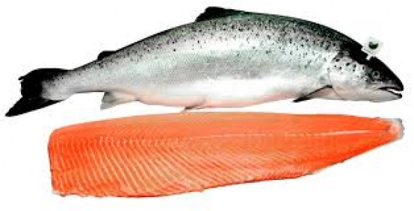 Salmón Noruego Ahumado Entero 1-1.4kg