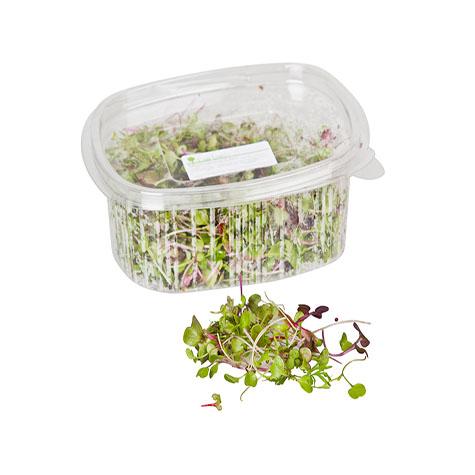 Microbrots Mix Safata 100G