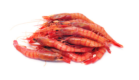 Gamba Playa G