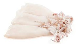 [0361] Calamar Patagonico S/P Limpio 8x1kg Pereira