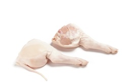 [3255] Cochinillo Pierna Cong (0,9-1,5kg aprox)