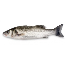 [7038] Lubina 600/800