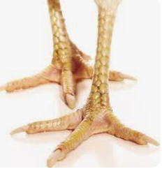 [3415] CV-Gallina Patas