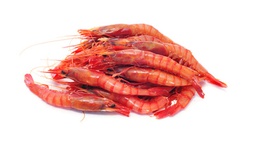 [7267] Gamba Platja G